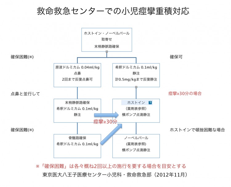 てんかん重積状態の予防